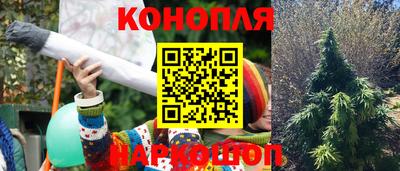 индика Среднеуральск