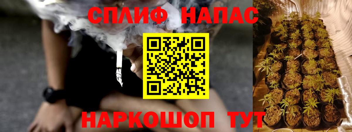 Пенза  Шишки марихуана White Widow  Бошки марихуана семена  Вход с VPN 